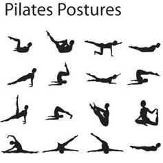 Pilates studio van hout Pilates studio van hout
